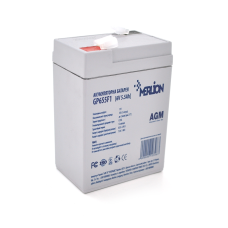 Акумуляторна батарея MERLION AGM GP655F1 6 V 5.5Ah White Q20/2400