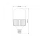 LED лампа VIDEX A145 100W E40 5000K