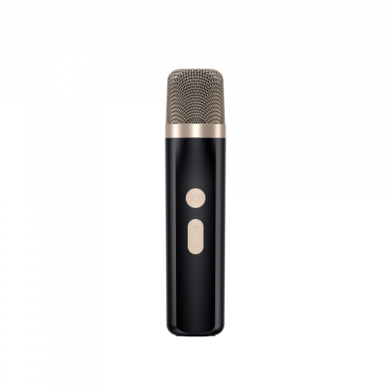 Портативна колонка з караоке HAVIT HV-SK895BT 6W RGB Black
