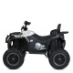 Дитячий електромобіль Квадроцикл M 6018EBLR-1 до 50 кг