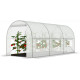 Садова теплиця з вікнами FunFit Garden 6m2 = 300*200*200